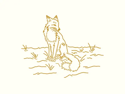 A Fox brand design digital grunge handmade illustration ink sketch texture vector