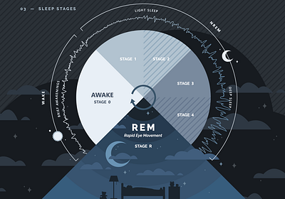 Sleep Stages Chart circadian sleep sleep cycle