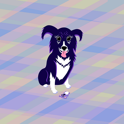 Roxy border collie character design cute design dog dog illustration illustration illustrator vector