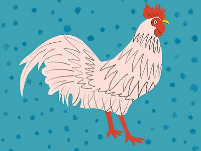 Rooster illustration animal bird chicken farm animal feathers hand drawn illustration rooster storybook