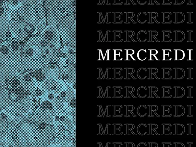 Mercredi branding design font font design fonts french lettering serif type type art type design typeface typography