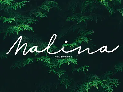 Malina Free Script Font font font family free font free fonts freebie freebies typeface typefaces typogaphy typography