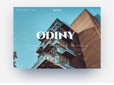 Web Layout and Typography Experiment luxury typography ui website