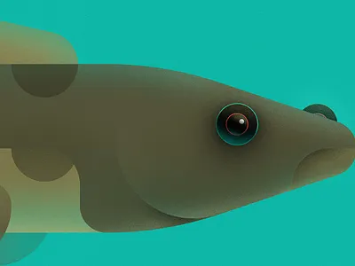 Fish art brush fish shape vector vector illustration water wildlife