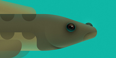 Fish art brush fish shape vector vector illustration water wildlife