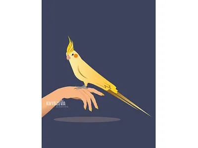 Parrot corella angry bird corella hand parrot