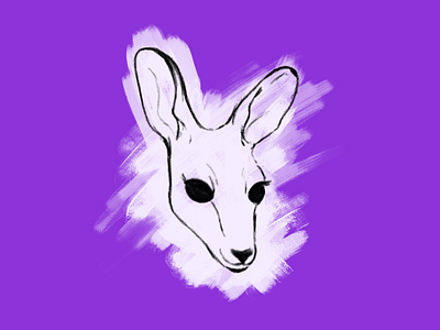 Kangaroo affinity designer cute illustration kangaroo sketch