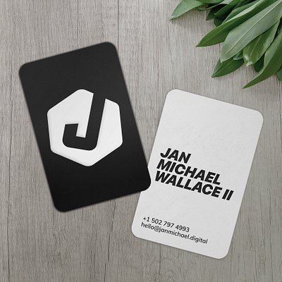 Business Card branding design logo vector