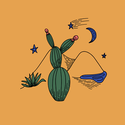 Desert Night cactus desert drawing drawing style illustration ipad pro night procreate procreate app stars womenofillustration womenwhodraw