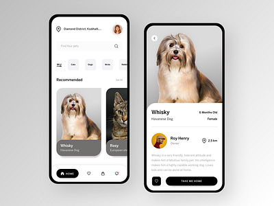 PET UI app cards icon minimal ui