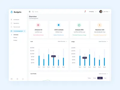 Budget Web Application app chart clean clean ui cost dashboard design illustration inspiration money typography ui uidesign ux uxdesign web webapp webdesign website website design