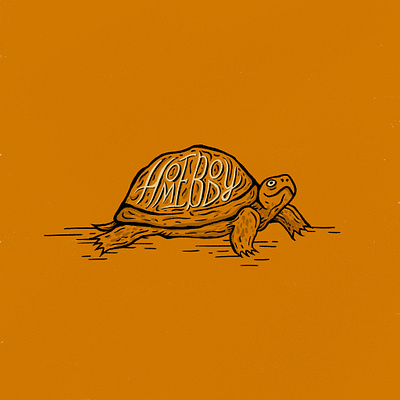 Sunday Punday No. 012 hand lettering illustration lettering procreate pun retro shell tortoise turtle type vintage