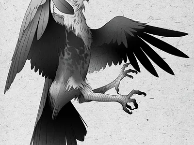 05 Aguila Blackwork 06 design eagle illustration tattoo