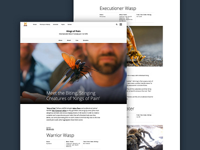 Kings of Pain editorial longform design ui ux web