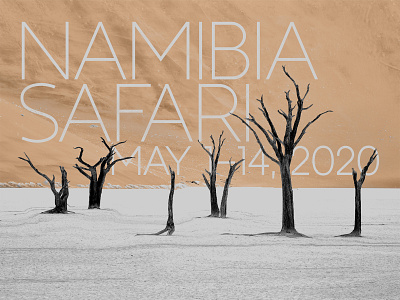 NAMIBIA SAFARI aesthetic design font fontdesign geometric graphicdesign lettering logo motiondesign print sans sans serif serif trend type typedesign typeface typography