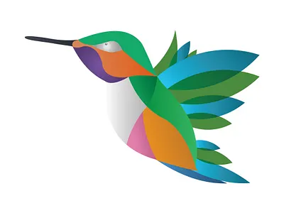 Humming Bird adobe adobe illustrator design humming hummingbird hummingbirds illustration vector