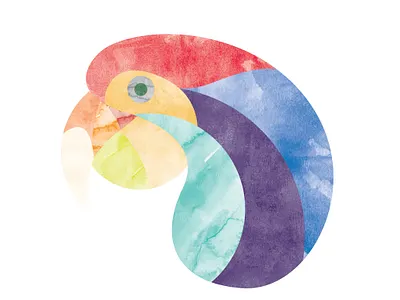 Parrot adobe adobe illustrator design illustration vector watercolor art watercolour