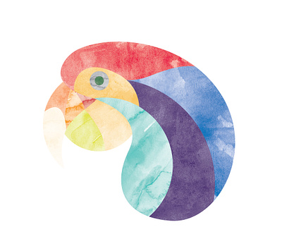 Parrot adobe adobe illustrator design illustration vector watercolor art watercolour