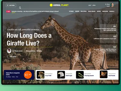 Magazine Online UI app concept design ui uidesign user interface