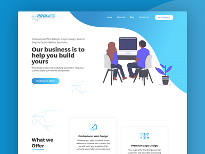 Prolific Web Solutions illustrations landing page web web design website