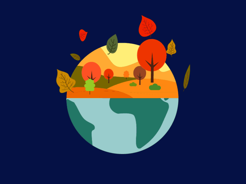 Vector Animation. Seasons. 2d animation autumn design digital gif icon illustration lviv motion seasons spring summer winter