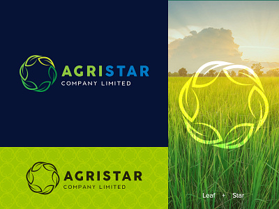 AgriStar Logo agriculture agriculture logo agrilogo agristarlogo branding branding design burmese company logo designeryeyan designyeyan leaflogo logo logodesign logos myanmar naturelogo organiclogo starlogo yeyan yy