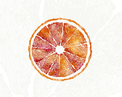 Blood Orange blood citrus food fruit illustration orange