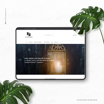Salme & Sons Web Design brand branding design identity illustration illustrator logo ui ux website