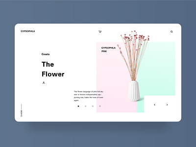 Flower Gypsophila branding design flower ui ux