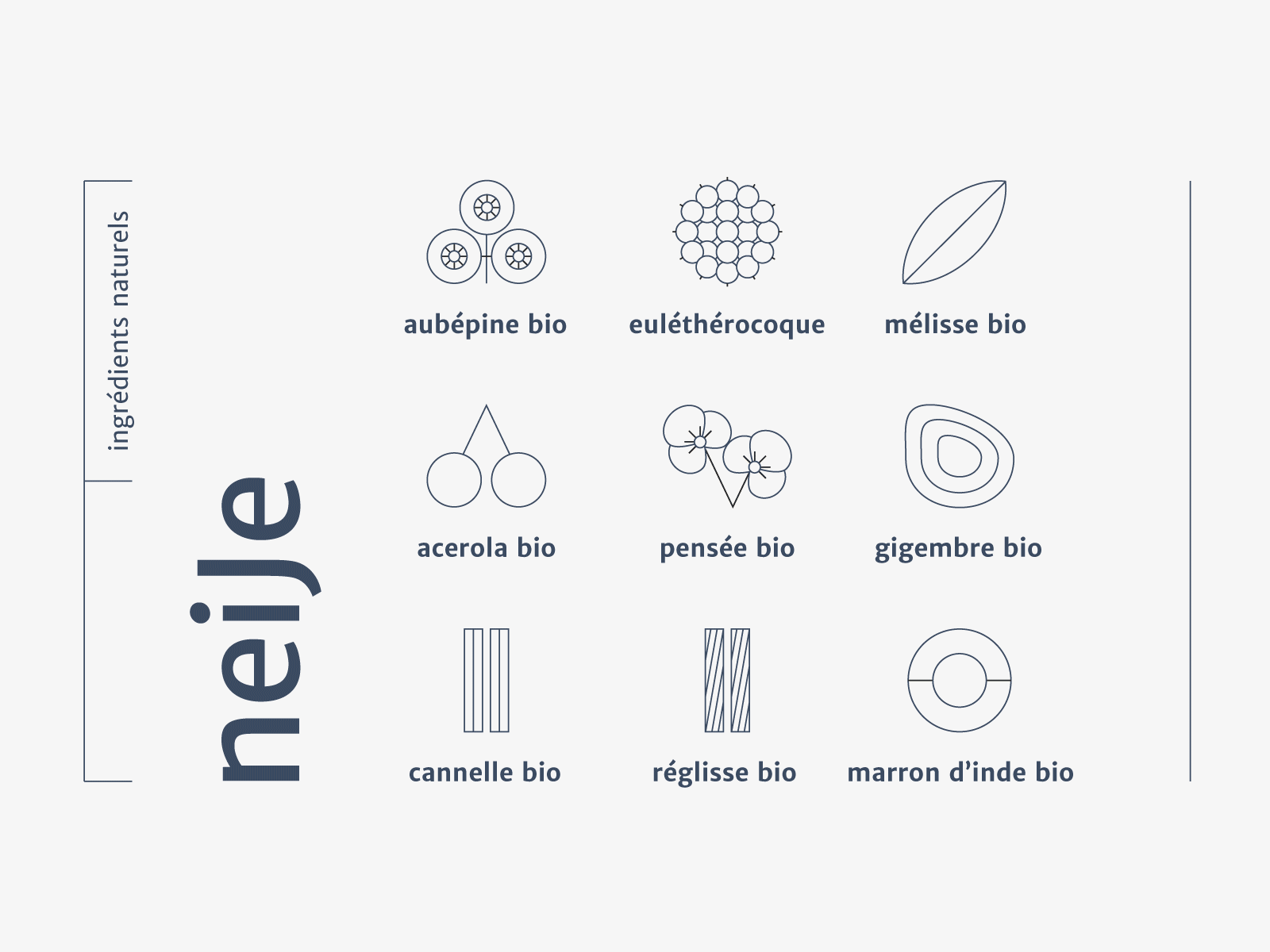 neiJe beauty brand brand design branding branding design fruit healthy icon design iconography icons identity illustration ingredients label label design natural nature nature illustration plants visual identity