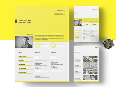 Free Multifunctional Resume Template cv cv resume template free curriculum vitae template free cv free cv template free resume free resume template freebie freebies resume