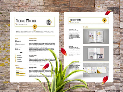 Free Modern Indesign Resume Template curriculum vitae cv cv resume template free cv free cv template free resume free resume template freebie freebies resume