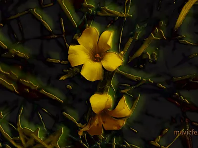 Flower Lattice abstract background bright closeup dark design digitalart fine art flower garden glow graphic art illustration lattice mavicfe nature painting petal photoshop wallpaper