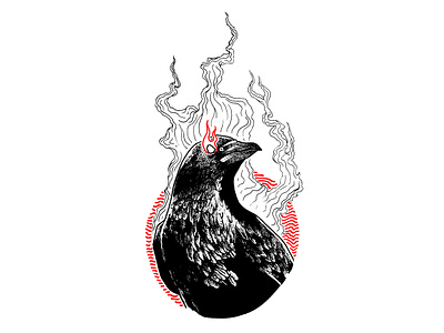 Crow bird black bw crow dark halloween illustration