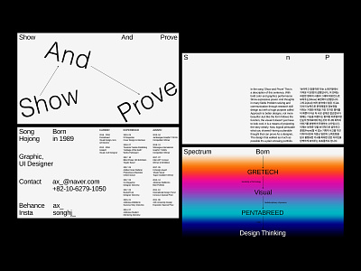 Show And Prove abstract gradation gradient graphic logic portfolio portrait art resume show