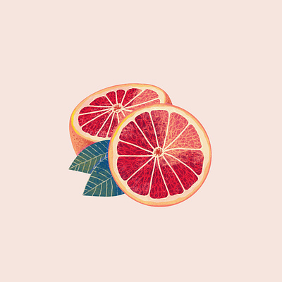 Orange art food illustration fruit illustration ipad art ipad pro makingarteveryday orange procreate