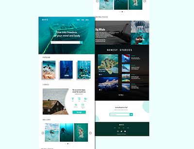 UI Design For Website related to the sea and holiday at sea animals app design logo news sea travel typography ui uiux ux web