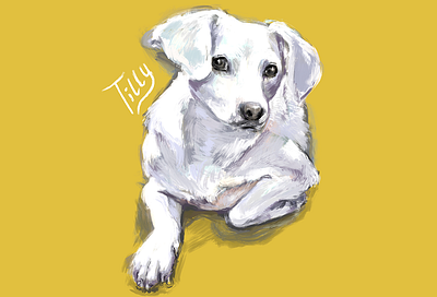 Tilly digital digital art digital painting dog dog illustration illustration procreate