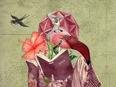 Leia mais collage illustration leia mais turdus