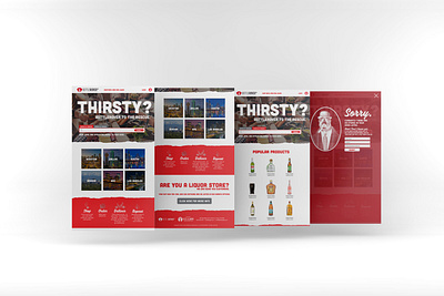 BottleRover Web Design design digital ui ux web design website