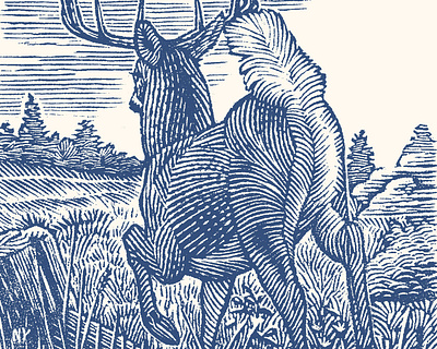 Buck buck deer engraving line engraving nature outdoors scratchboard wildlife wood engraving