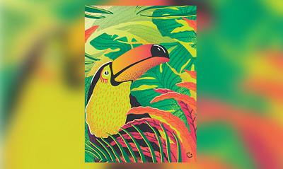 Toucan bird bird birds illustration leaves tropic tropics vector