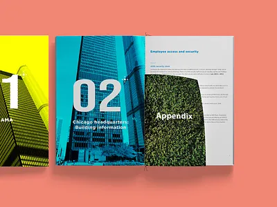 AMA's New Employee Guide american association booklet chapters guide health healthcare indesign industry medical non profit organization pdf print spreads
