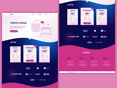 Website hosting - Single Page Websites clean dns domain hosting icon illustration internet piink pricing ui vector web web host webdesign website website design