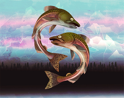 Pink Salmon of Alaska design illustration illustrator photoshop salmon vector