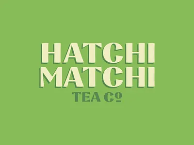 Hatchi Matchi - Main Logo branding design identity logo type