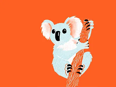 Australia australia editorial editorial illustration illustration koala texture