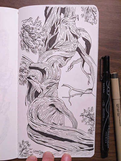 Western cedar tree drawing art drawing hand drawn illustration ink nature pen tree