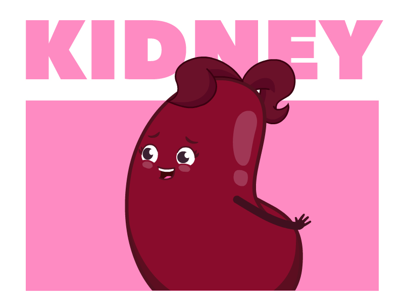 Matnat Chaim | Kidney animated animation character design gif health illustration kidney life live loop love medical vector vector art