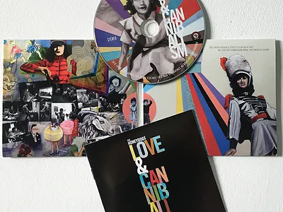 The Honeydogs Album Art + Design cover art design illustration music art record art typography vinyl cover vinyl record